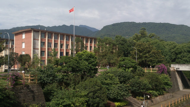 università cinese