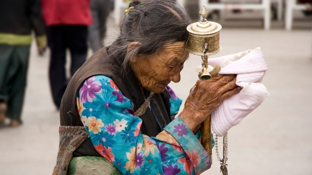 un anziana tibetana in preghiera