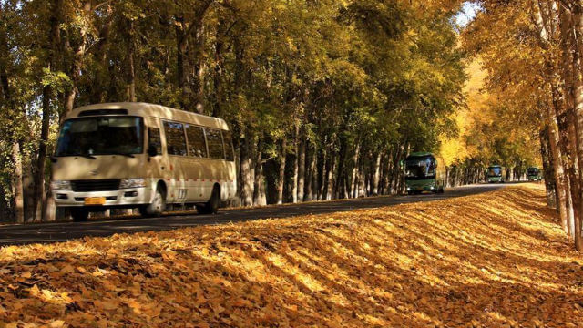 bus sulla strada del Xinjiang