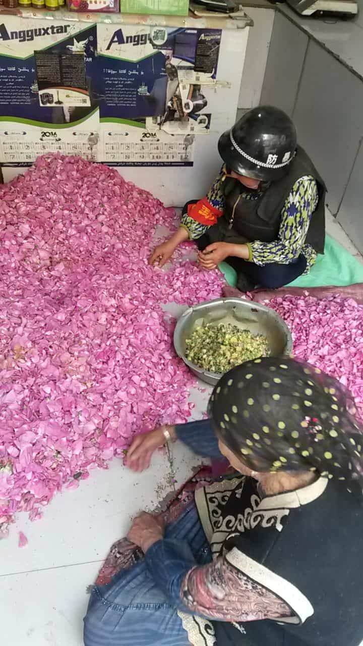 selezionatrice di petali di rosa con elmetto